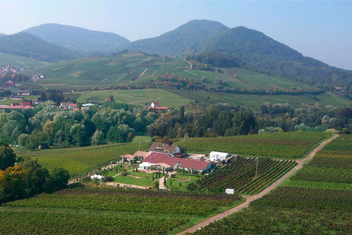 VARIOmobil-Reisemobil-Frühlingstreffen-Abendmenue-Gutsausschank-Johanneshof-im-Sonnenschein