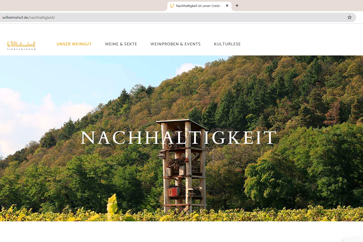 VARIOmobil-Reisemobil-Frühlingstreffen-Weinprobe-Weinkeller-Wilhelmshof